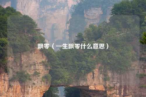 飘零（一生飘零什么意思）