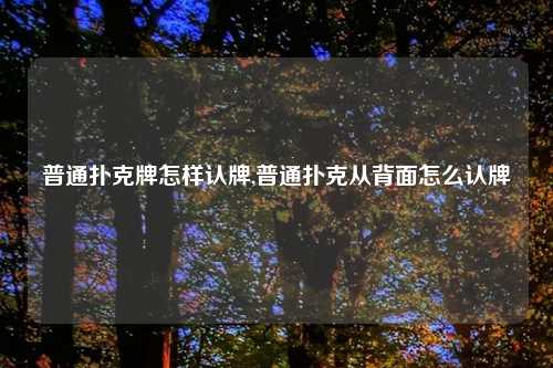 普通扑克牌怎样认牌,普通扑克从背面怎么认牌