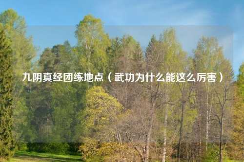 九阴真经团练地点（武功为什么能这么厉害）