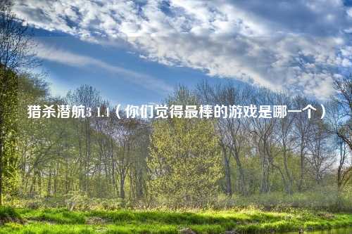 猎杀潜航3 1.4（你们觉得最棒的游戏是哪一个）