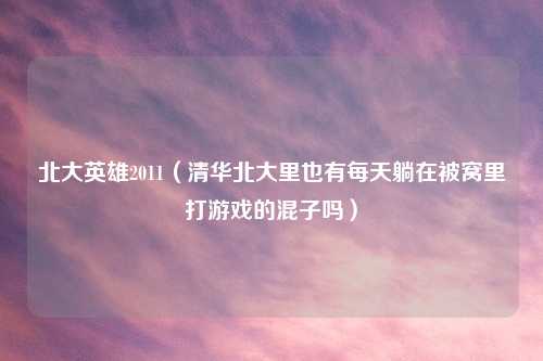 北大英雄2011（清华北大里也有每天躺在被窝里打游戏的混子吗）