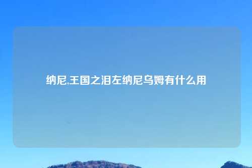 纳尼,王国之泪左纳尼乌姆有什么用