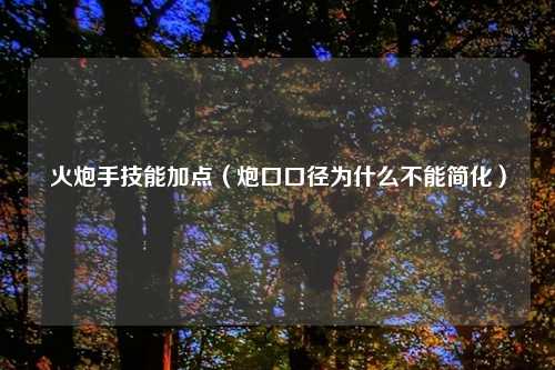 火炮手技能加点(炮口口径为什么不能简化)