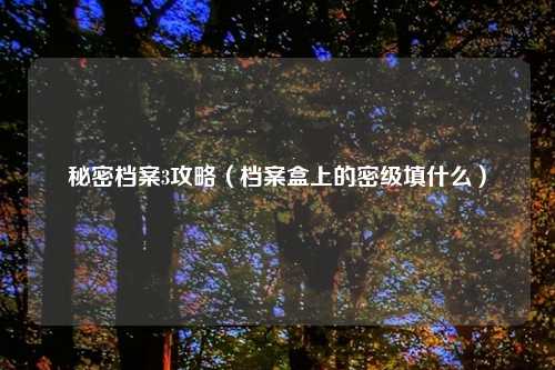 秘密档案3攻略（档案盒上的密级填什么）