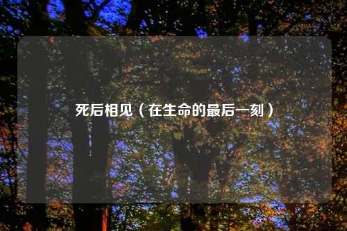 死后相见(在生命的最后一刻)