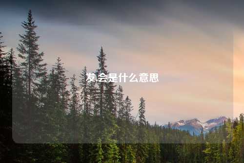 发,会是什么意思