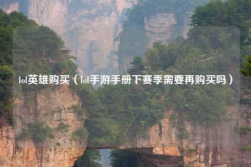 lol英雄购买（lol手游手册下赛季需要再购买吗）