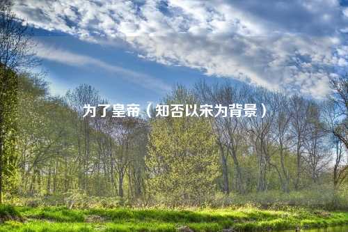 为了皇帝(知否以宋为背景)