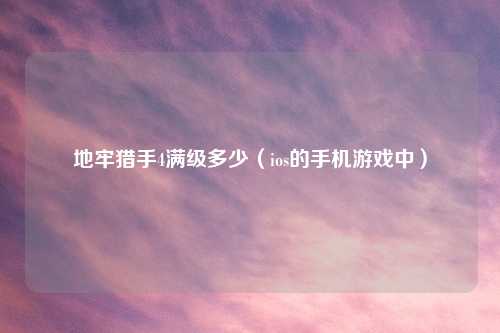 地牢猎手4满级多少（ios的手机游戏中）