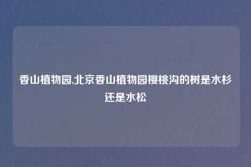 香山植物园,北京香山植物园樱桃沟的树是水杉还是水松