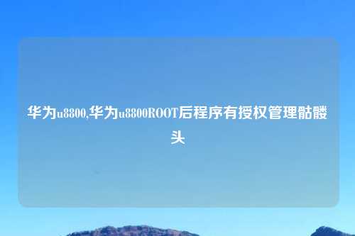 华为u8800,华为u8800ROOT后程序有授权管理骷髅头