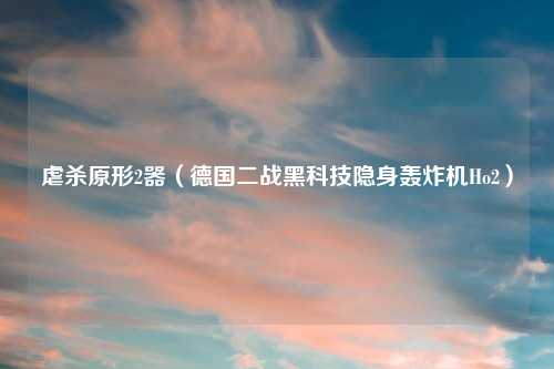 虐杀原形2器(德国二战黑科技隐身轰炸机Ho2)