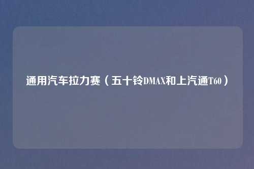 通用汽车拉力赛（五十铃DMAX和上汽通T60）