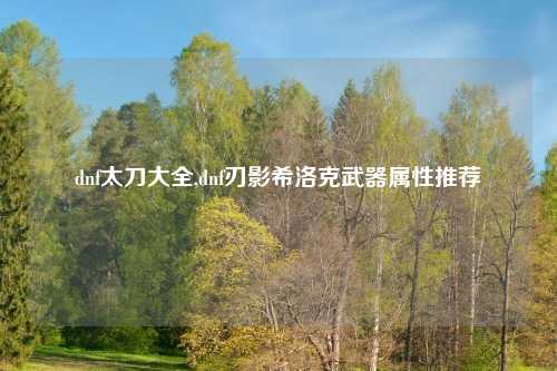 dnf太刀大全,dnf刃影希洛克武器属性推荐