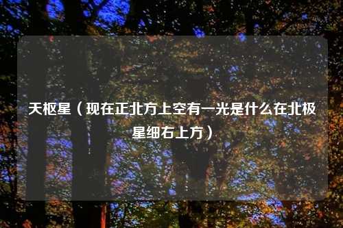 天枢星(现在正北方上空有一光是什么在北极星细右上方)
