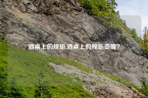酒桌上的规矩,酒桌上的规矩壶嘴？