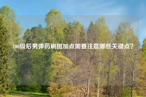 100级后男弹药刷图加点需要注意哪些关键点?