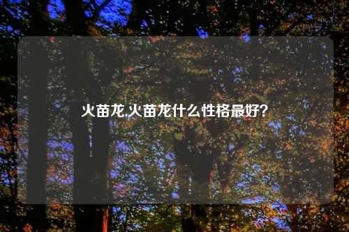 火苗龙,火苗龙什么性格更好？