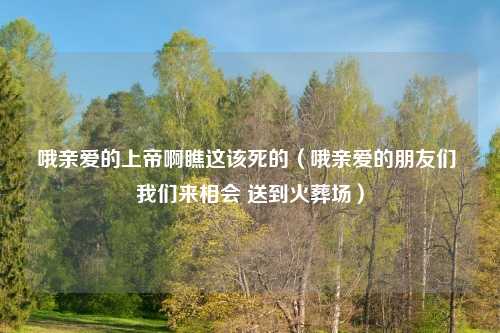 哦亲爱的上帝啊瞧这该死的(哦亲爱的朋友们 我们来相会 送到火葬场)