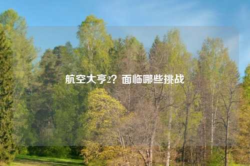 航空大亨2?面临哪些挑战