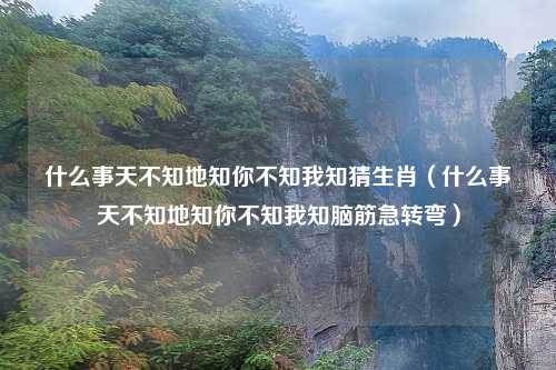 什么事天不知地知你不知我知猜生肖(什么事天不知地知你不知我知脑筋急转弯)