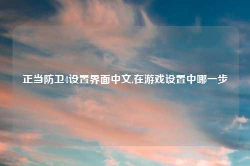 正当防卫4设置界面中文,在游戏设置中哪一步