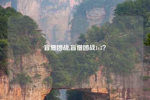 盲僧团战,盲僧团战1v3？