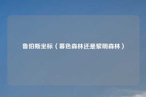 鲁伯斯坐标(暮色森林还是黎明森林)