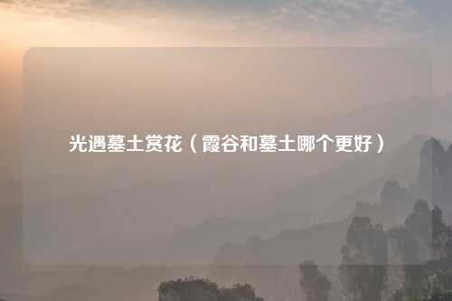 光遇墓土赏花(霞谷和墓土哪个更好)