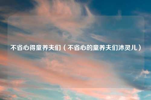 不省心得童养夫们(不省心的童养夫们沐灵儿)
