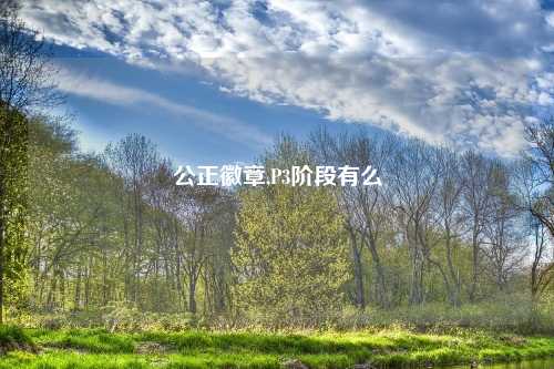 公正徽章,P3阶段有么