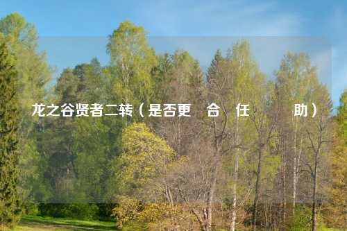 龙之谷贤者二转(是否更適合擔任團隊輔助)
