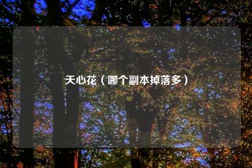 天心花(哪个副本掉落多)
