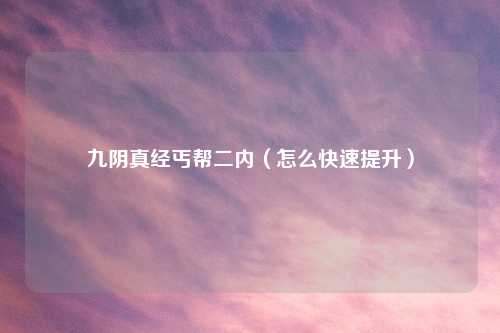 九阴真经丐帮二内(怎么快速提升)