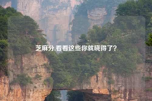 芝麻分,看看这些你就晓得了？