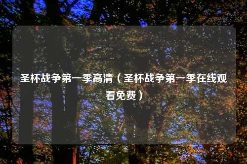 圣杯战争之一季高清(圣杯战争之一季在线观看免费)