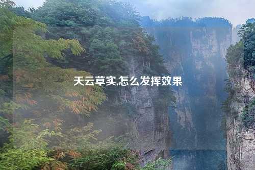 天云草实,怎么发挥效果