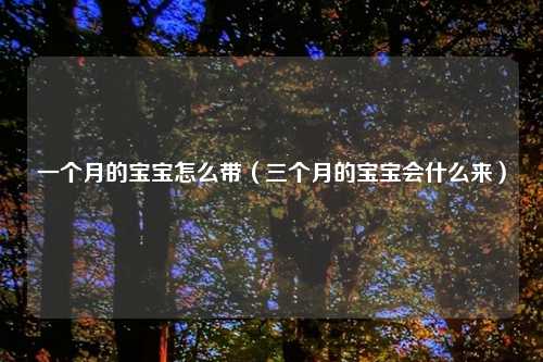 一个月的宝宝怎么带(三个月的宝宝会什么来)