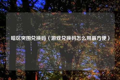 暗区突围兑换码(游戏兑换码怎么用最方便)