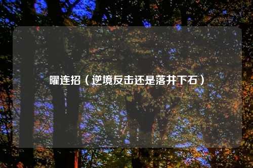 曜连招(逆境反击还是落井下石)