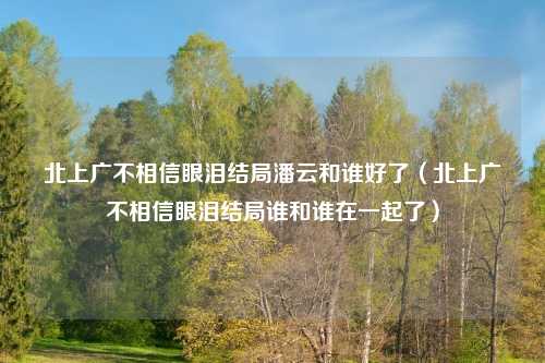 北上广不相信眼泪结局潘云和谁好了(北上广不相信眼泪结局谁和谁在一起了)