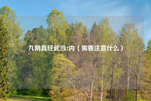 九阴真经武当2内(需要注意什么)