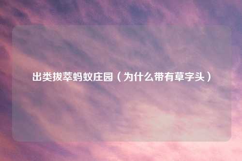 出类拔萃蚂蚁庄园(为什么带有草字头)