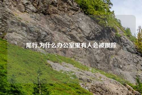 尾行,为什么办公室里有人会被跟踪