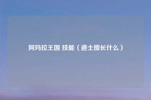 阿玛拉王国 技能(道士擅长什么)