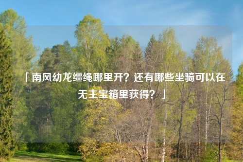 「南风幼龙缰绳哪里开?还有哪些坐骑可以在无主宝箱里获得?」