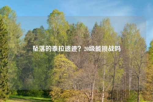 坠落的泰拉遗迹?20级能挑战吗