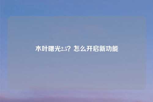 木叶曙光2.5?怎么开启新功能