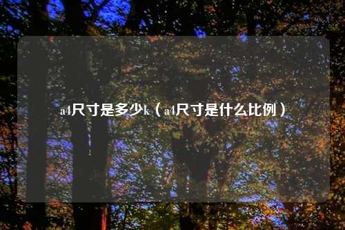 a4尺寸是多少k(a4尺寸是什么比例)