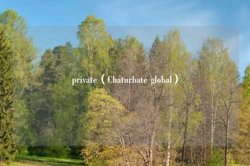private(Chaturbate global)